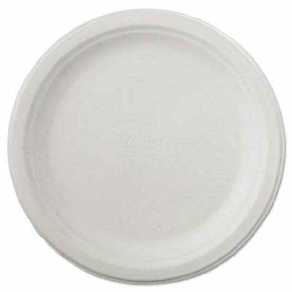 Huhtamaki Chinet, Classic Paper Dinnerware, Plate, 9 3/4in Dia, White, 4PK 21232